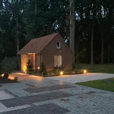 Goudvink *